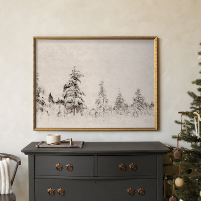 Christmas / Winter