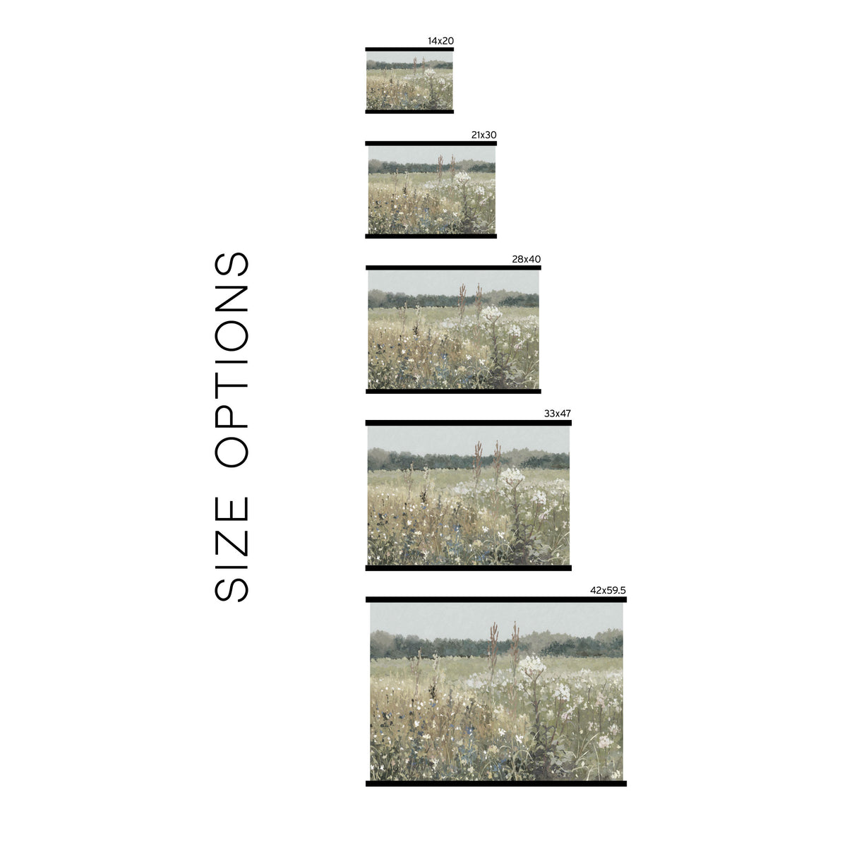 Wildflowers | T17