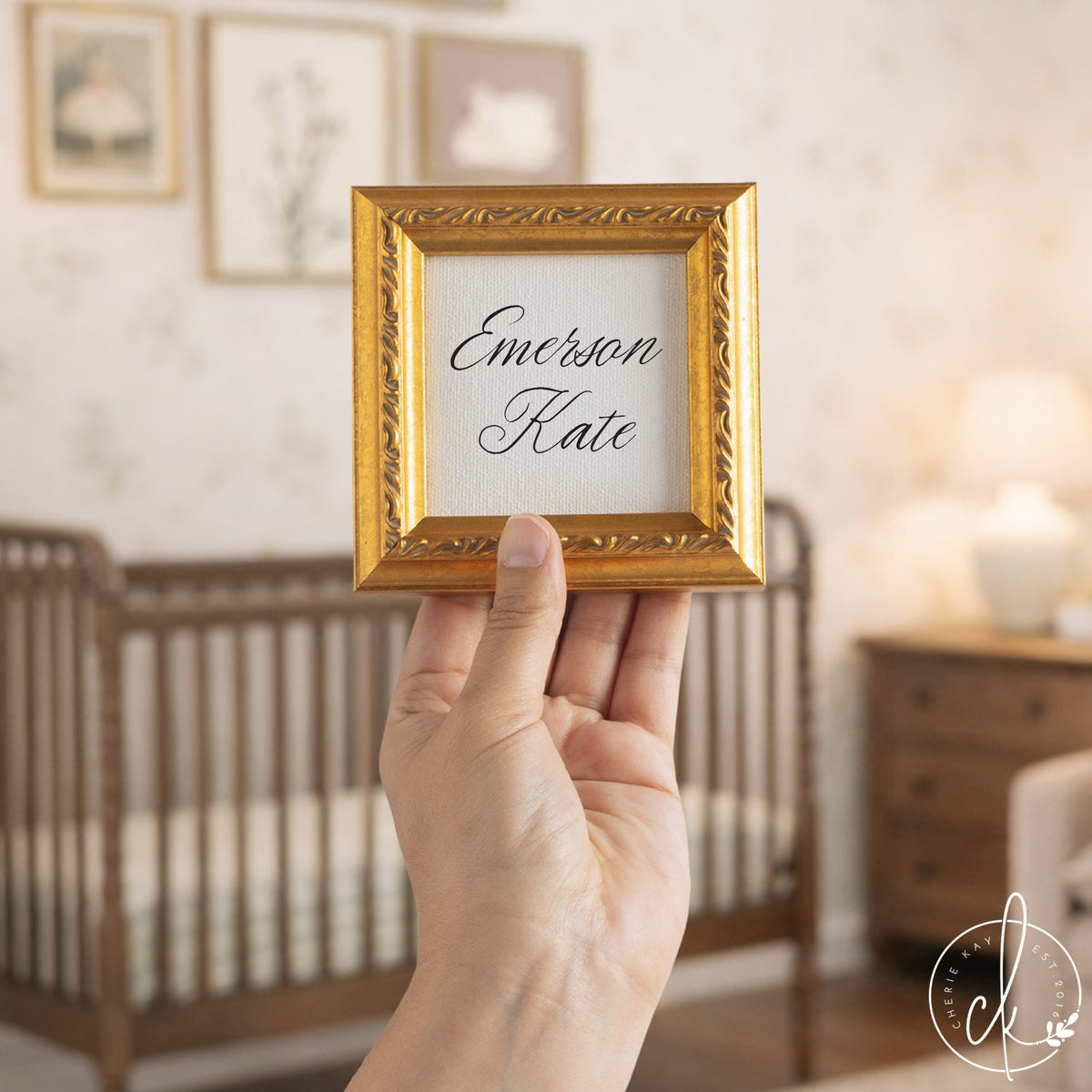Baby Announcement Sign For Hospital | Girl Nursery Name Sign | B2