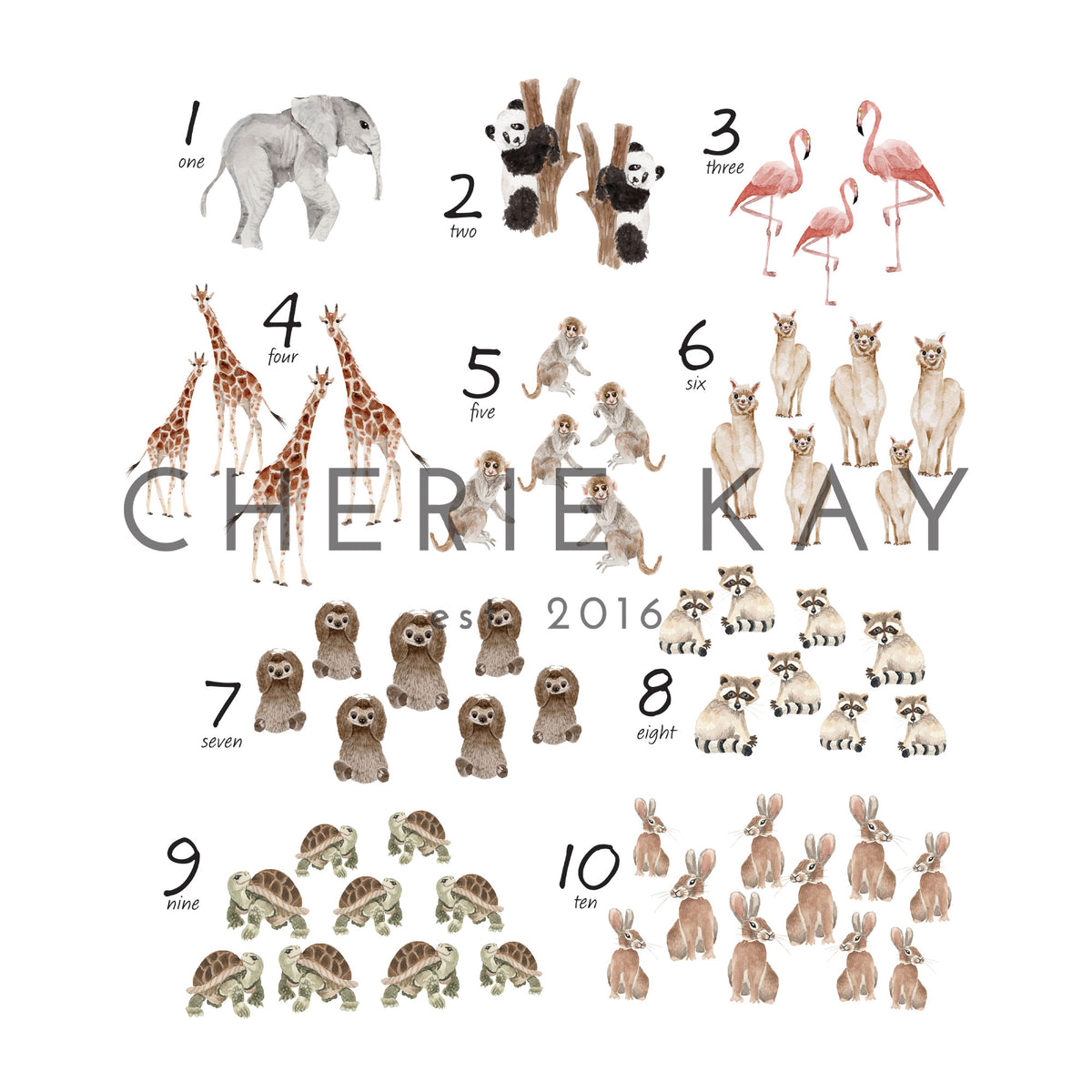Animal Numbers