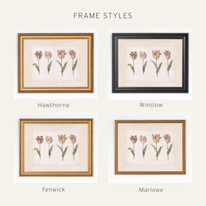 Vintage Botanical Print | Framed Tulip Canvas Art | Antique Gold Floral Wall Decor | N27
