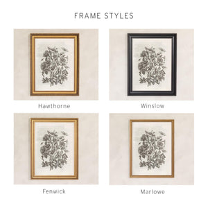 Vintage Flower Print | Framed Black & White Botanical Wall Art | N109