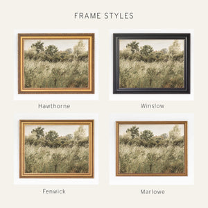 Large Framed Wall Art | Green Grass Field In The Summer | N54