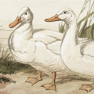 Duck Painting in Vintage Gold Frame | Bird Wall Art | N235