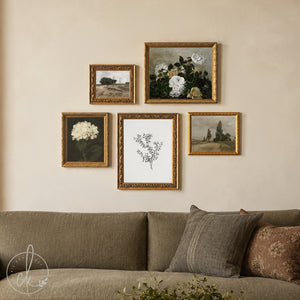 Set of 5 vintage botanical and floral canvas prints in ornate gold wood frames, hung above a neutral gray-green sofa.