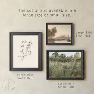 Framed Wall Art Set | Vintage Landscape & Botanical Prints | Ornate Gold Frame Gallery Wall Decor | G11