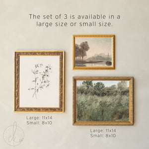Framed Wall Art Set | Vintage Landscape & Botanical Prints | Ornate Gold Frame Gallery Wall Decor | G11