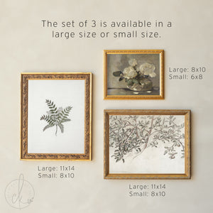 Gallery Wall Living Room Set of 5 | Black and Gold Frames | Vintage Artwork Prints | G13