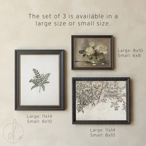 Gallery Wall Living Room Set of 5 | Black and Gold Frames | Vintage Artwork Prints | G13