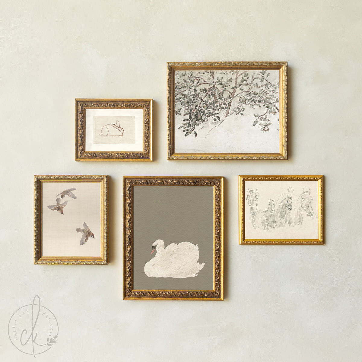 Nursery Wall Art Gallery | Vintage Animal and Botanical Prints | G18