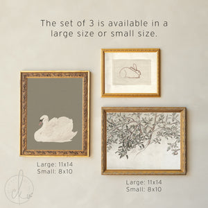 Nursery Wall Art Gallery | Vintage Animal and Botanical Prints | G18