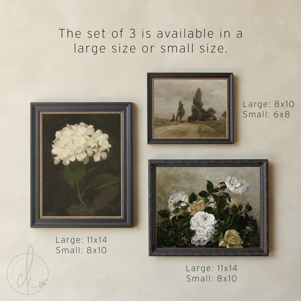 Vintage Gallery Wall Set | Framed Botanical & Floral Wall Art | Neutral Living Room Decor | G1