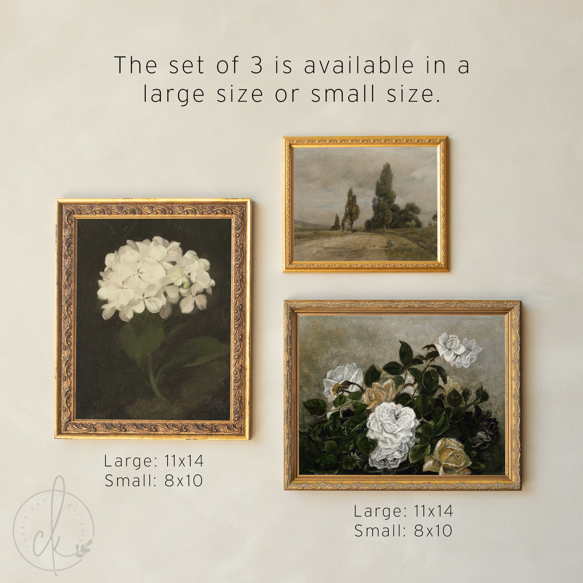 Vintage Gallery Wall Set | Framed Botanical & Floral Wall Art | Neutral Living Room Decor | G1
