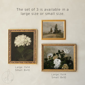 Vintage Gallery Wall Set | Framed Botanical & Floral Wall Art | Neutral Living Room Decor | G1