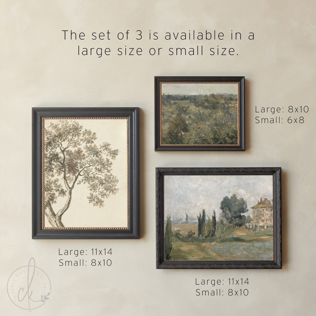 Picture Collage Wall Canvas Prints | Gold Framed Vintage Artwork | Over the Sofa Art Set of 5 | G23