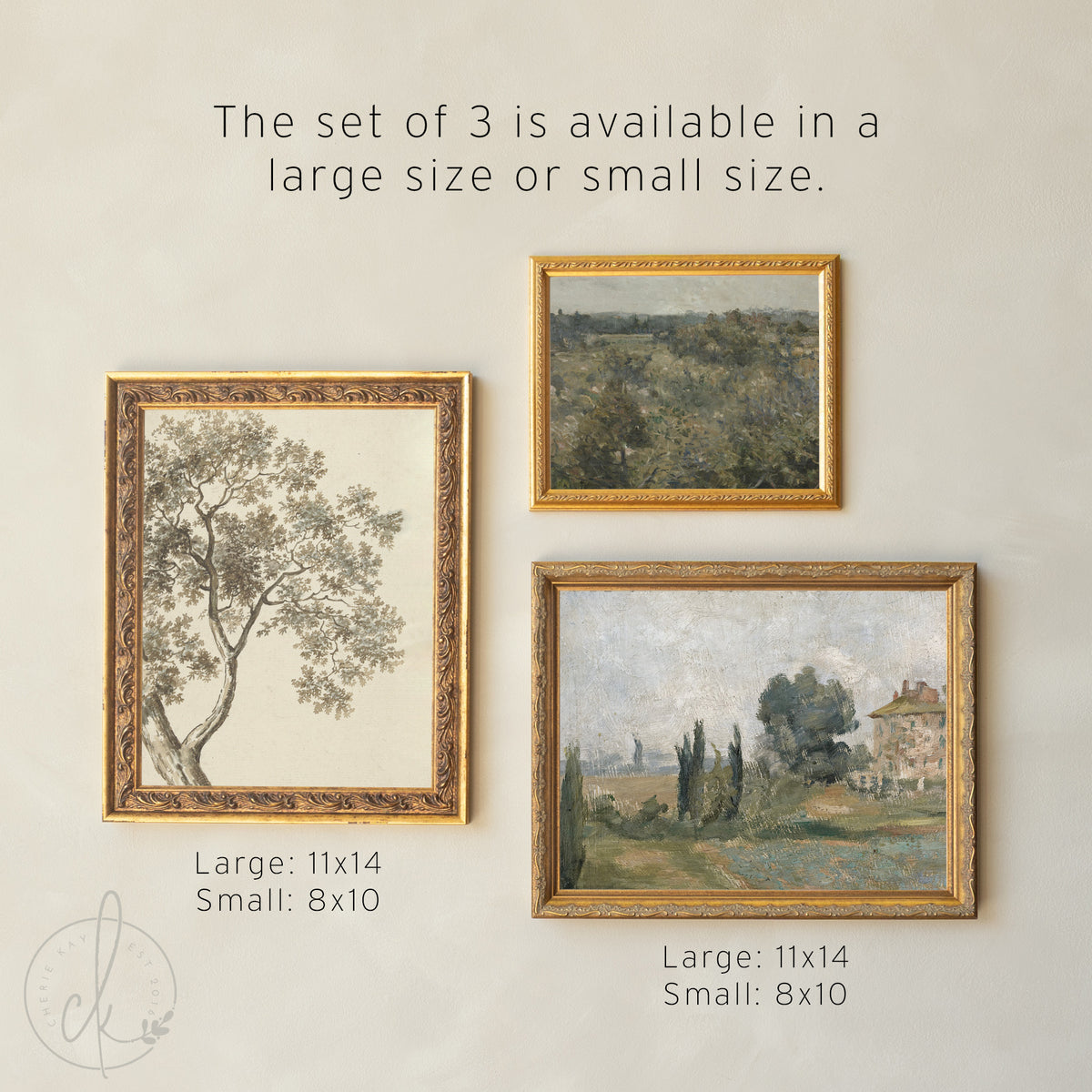 Picture Collage Wall Canvas Prints | Gold Framed Vintage Artwork | Over the Sofa Art Set of 5 | G23