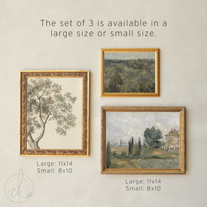 Picture Collage Wall Canvas Prints | Gold Framed Vintage Artwork | Over the Sofa Art Set of 5 | G23