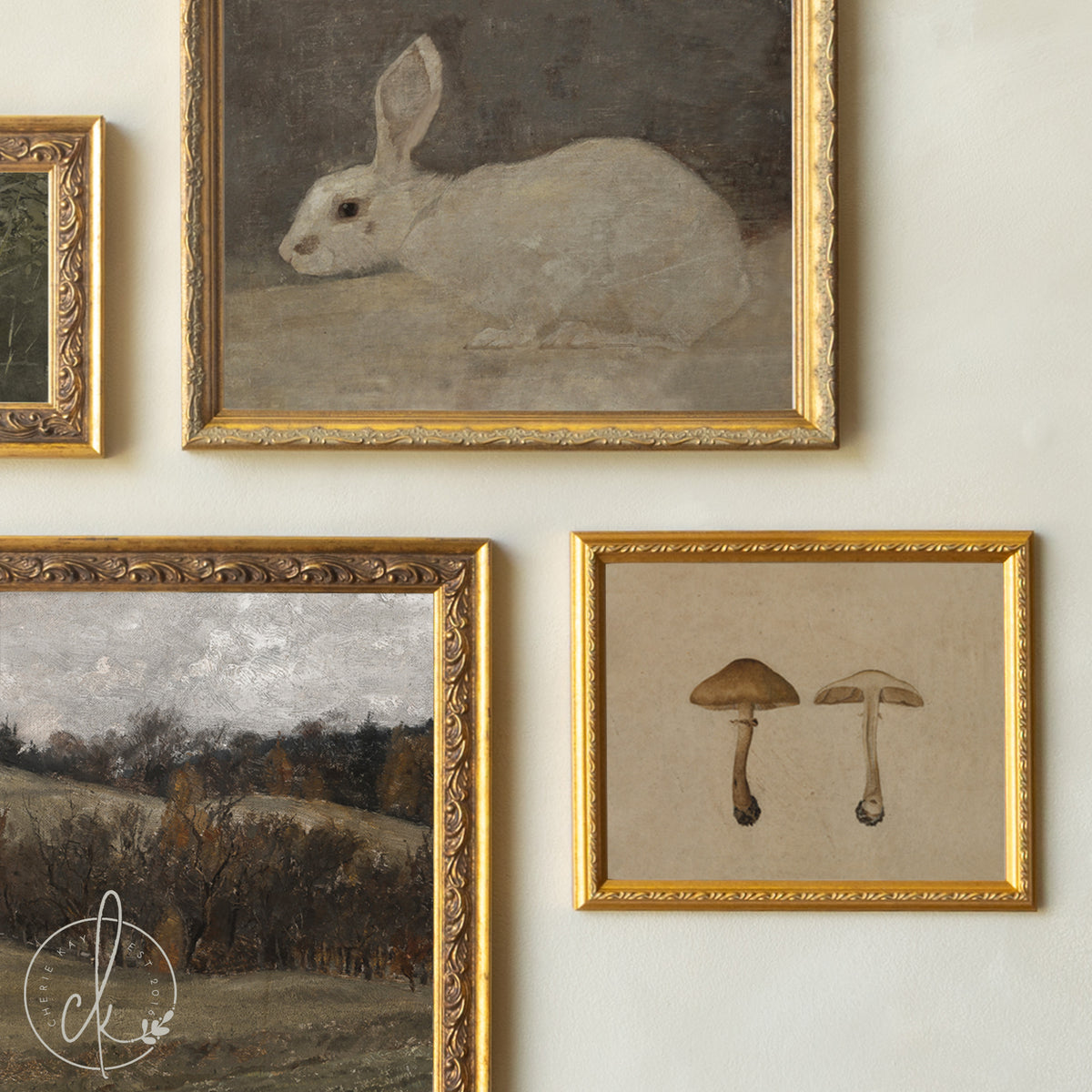 Nature Nursery Gallery Wall Art | Vintage Botanical and Wildlife Prints | G27