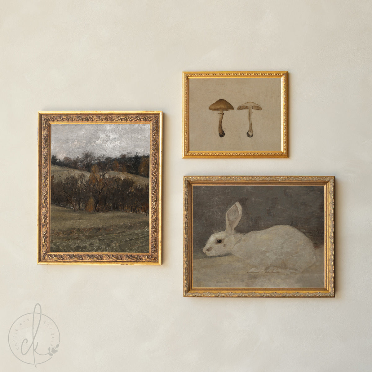 Nature Nursery Gallery Wall Art | Vintage Botanical and Wildlife Prints | G27