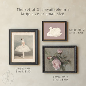 Vintage Nursery Wall Art Set | Botanical, Swan & Ballerina Prints | Framed Girl Nursery Gallery Wall | G28