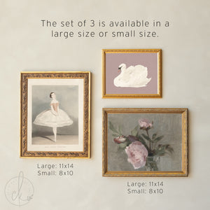 Vintage Nursery Wall Art Set | Botanical, Swan & Ballerina Prints | Framed Girl Nursery Gallery Wall | G28