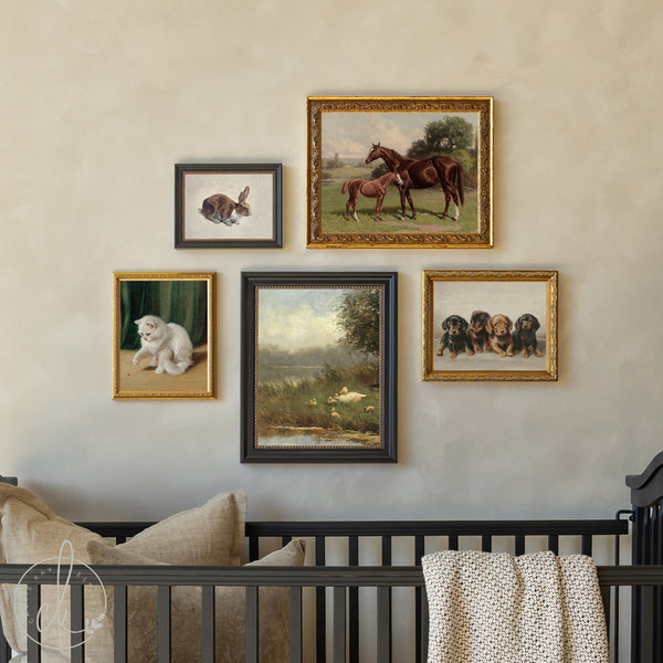 Nursery Gallery Wall | Vintage Animal Prints, Framed Art Set