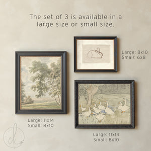 Animal Nursery Wall Art | Vintage Gallery Wall | G38