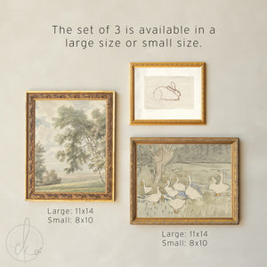 Animal Nursery Wall Art | Vintage Gallery Wall Set | Framed Animal Sketches | Neutral Nursery Decor | Gallery Wall Collection | G38