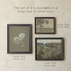 Gallery Wall Frame Set | Vintage Botanical & Landscape Art | G41