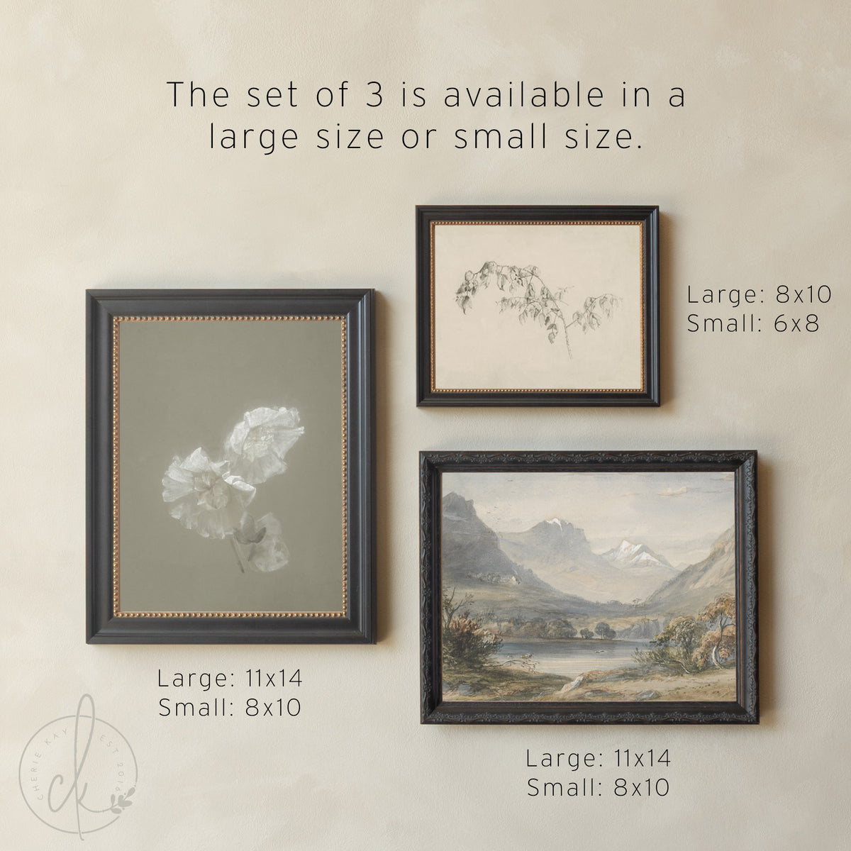 Living Room Wall Art | Framed Gallery Set | Vintage Landscape and Botanical Decor | G42