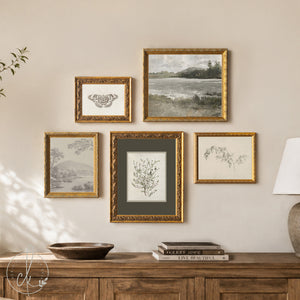 Vintage Framed Prints Set of 5 | Botanical Gallery Wall Art | Gold Frame Nature Decor | G45