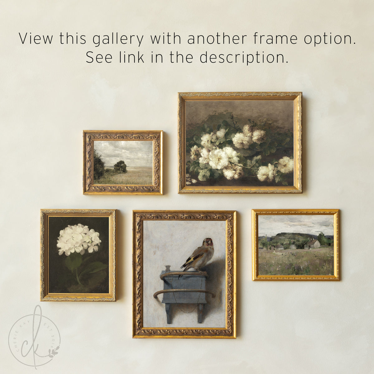 Elegant Framed Gallery Wall Set | Vintage Floral and Bird Art Prints | G9