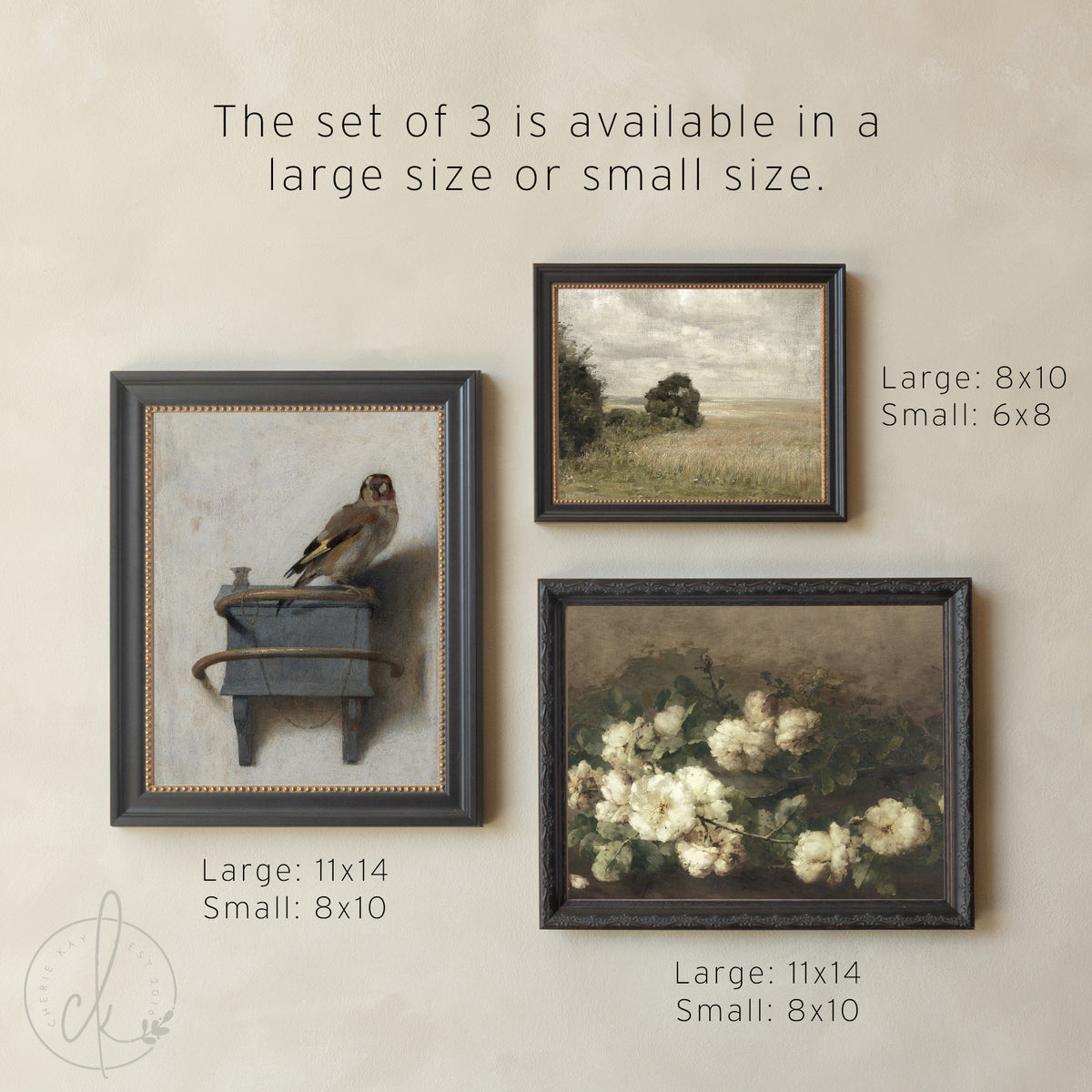 Gold Frame Gallery Wall Set | Vintage Floral, Bird & Landscape Framed Prints | Classic Wall Art Decor | G9