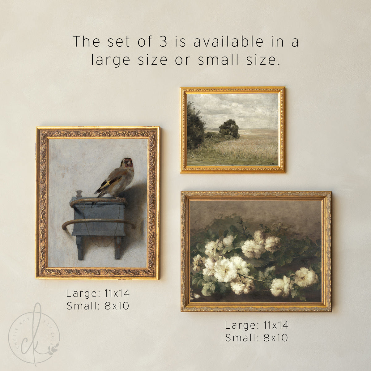 Gold Frame Gallery Wall Set | Vintage Floral, Bird & Landscape Framed Prints | Classic Wall Art Decor | G9
