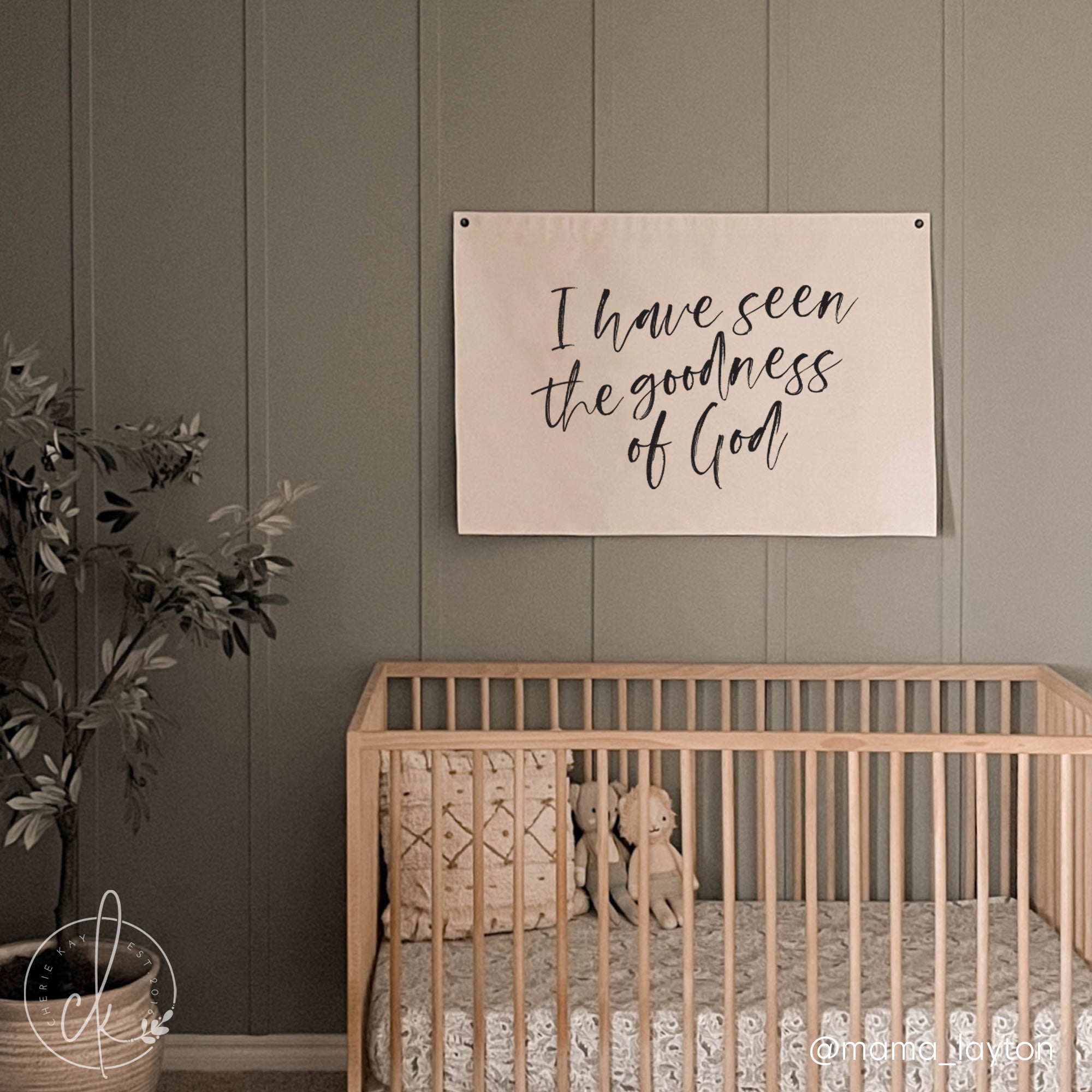i have seen the goodness of God canvas banner