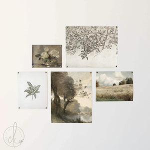 Vintage Framed Gallery Wall Art | Neutral Botanical and Landscape Collection | G13
