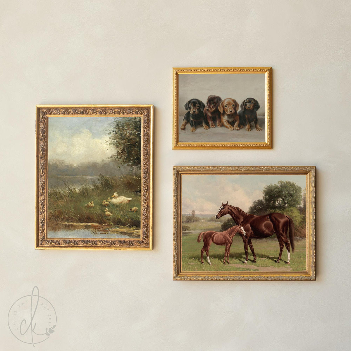 Nursery Gallery Wall | Vintage Animal Prints | Framed Art | G3