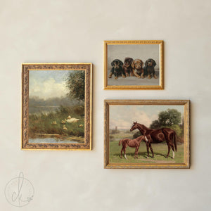 Nursery Gallery Wall | Vintage Animal Prints | Framed Art | G3