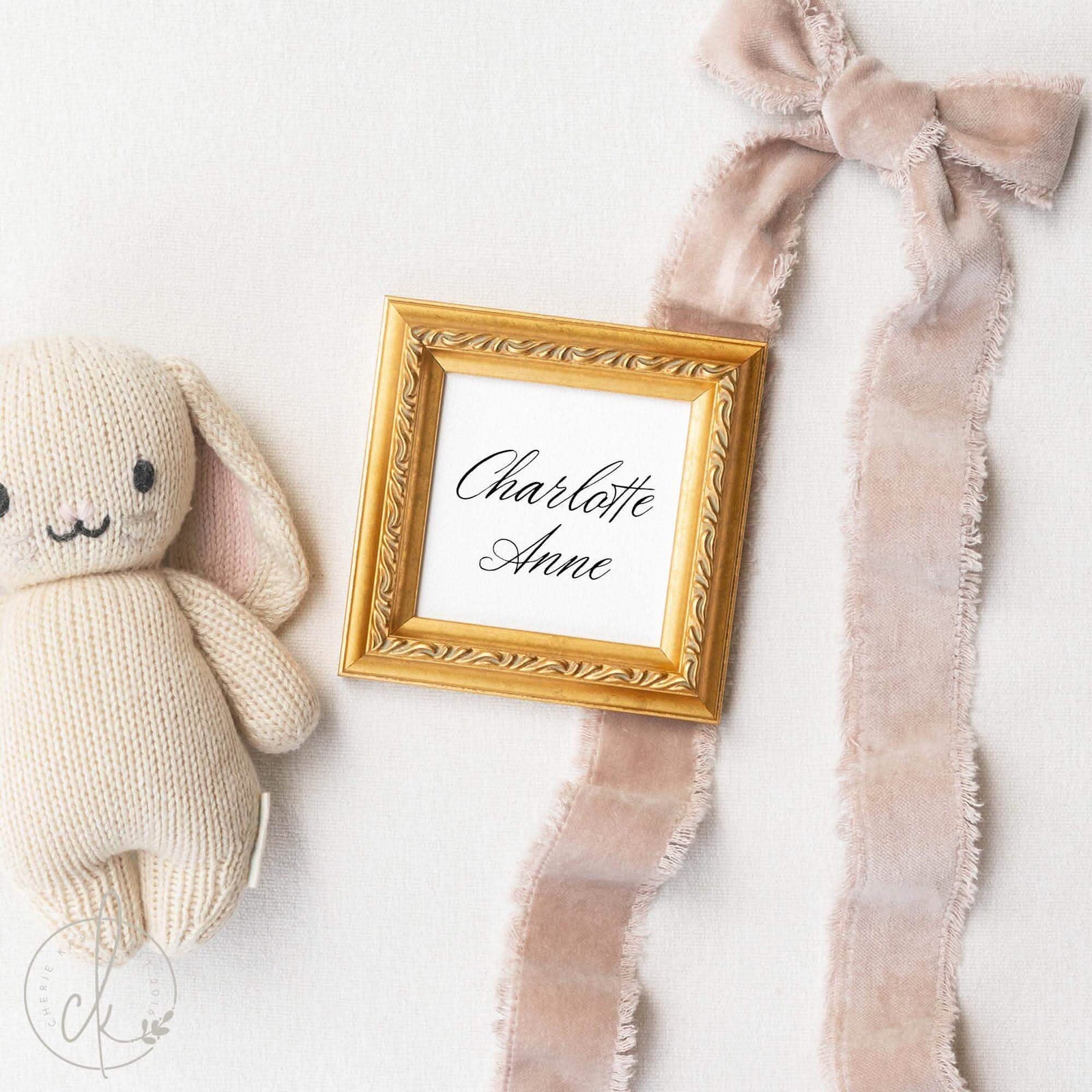 Gold-framed personalized baby announcement sign reading Charlotte Anne, styled as a newborn photo prop and elegant girl nursery name decor.