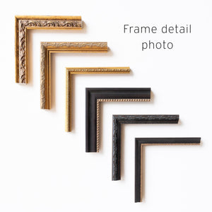 Vintage Framed Prints Set of 5 | Botanical Gallery Wall Art | Gold Frame Nature Decor | G45