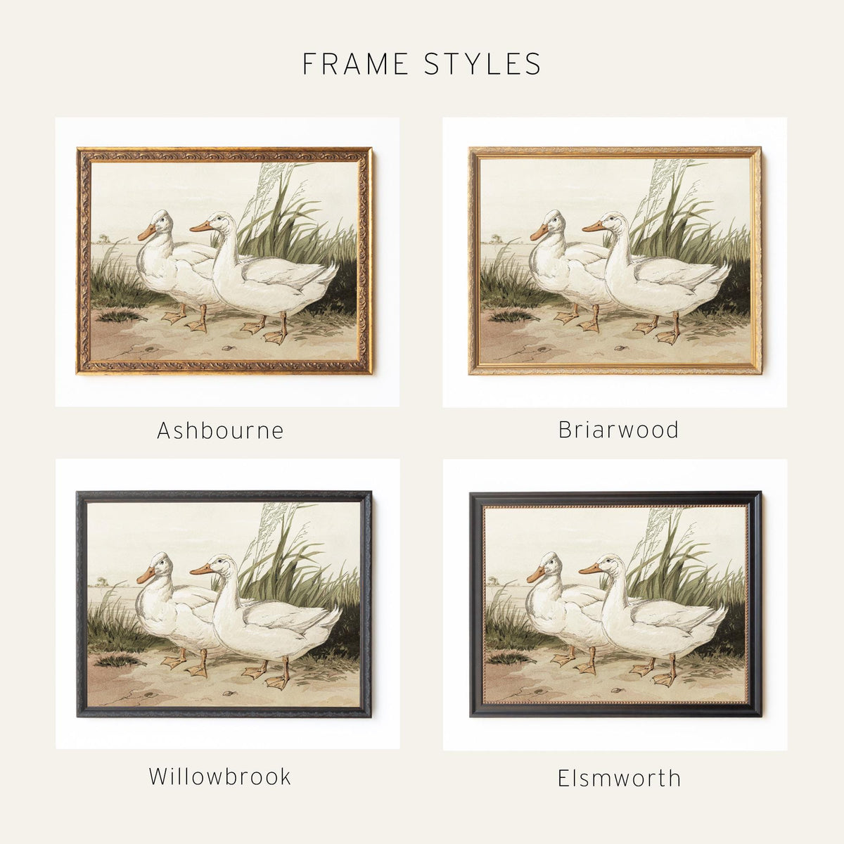 Duck Painting | White Ducks in Vintage Gold Frame | Country Bird Wall Art | N235