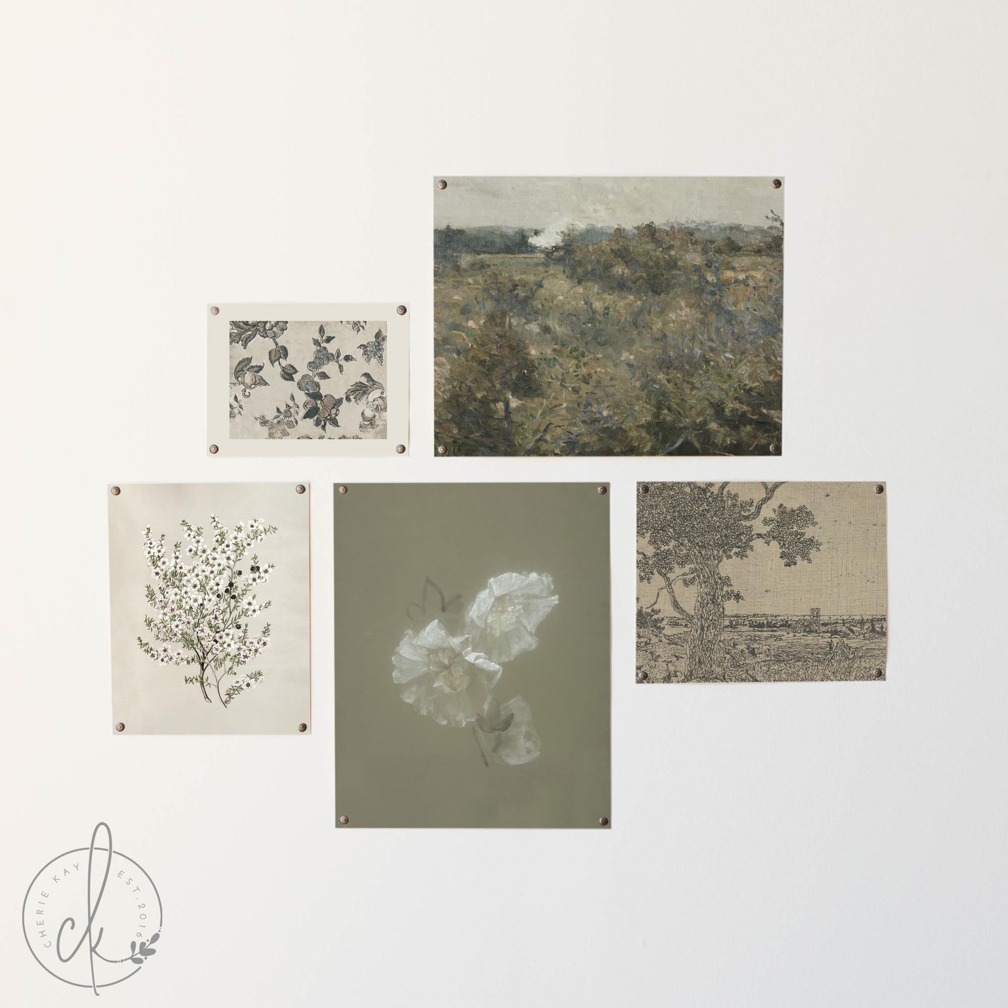 ビンテージ植物画集3冊セット Vintage Botanical & Landscape Gallery Wall Frame Set
