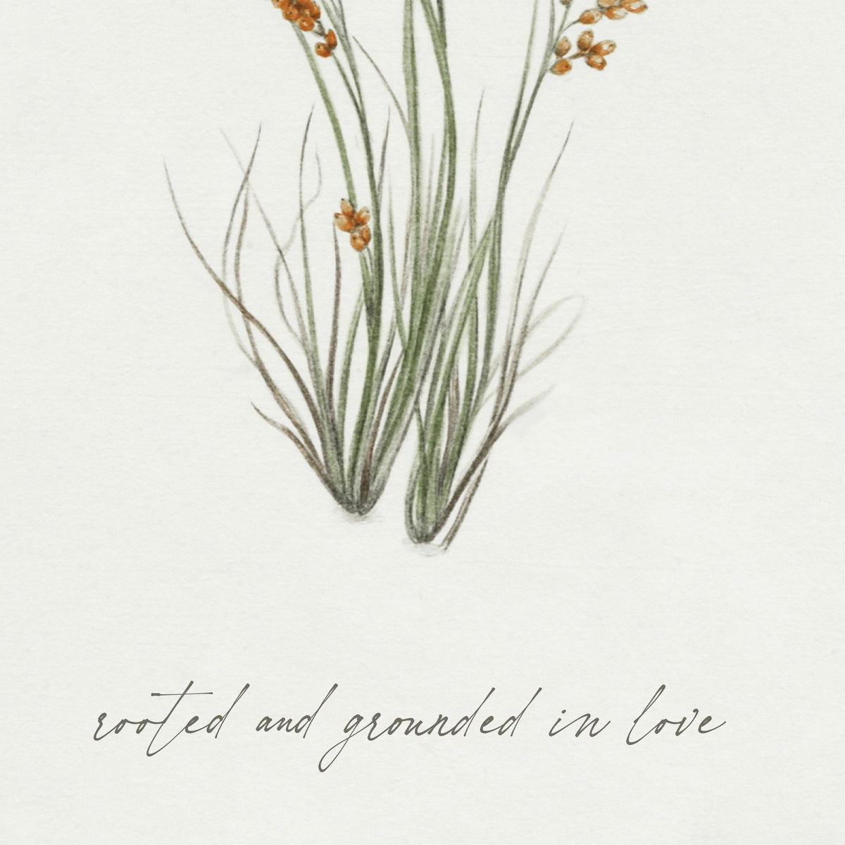 Wildflower Wall Art | Scripture Wall Art with Ephesians 3:17 | Large Framed Botanical Wall Decor | Inspirational Christian Home Decor | N240