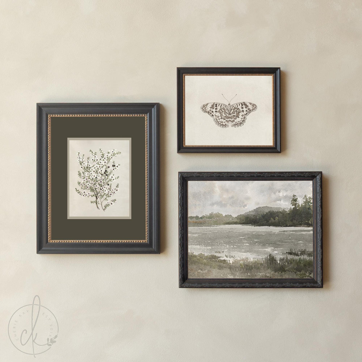 Vintage Framed Prints Set of 5 | Botanical Gallery Wall Art | Gold Frame Nature Decor | G45