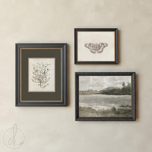 Vintage Framed Prints Set of 5 | Botanical Gallery Wall Art | Gold Frame Nature Decor | G45