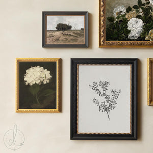 Vintage Gallery Wall Set | Framed Botanical & Floral Wall Art | Neutral Living Room Decor | G1