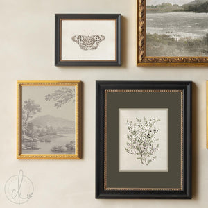Vintage Framed Prints Set of 5 | Botanical Gallery Wall Art | Gold Frame Nature Decor | G45