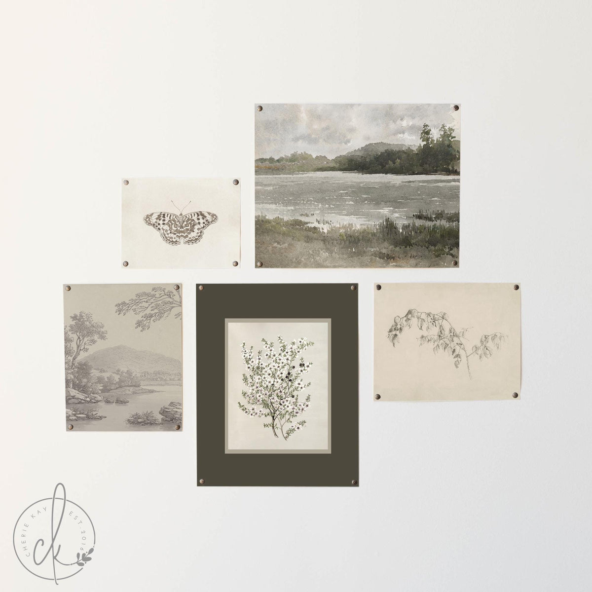 Vintage Framed Prints Set of 5 | Botanical Gallery Wall Art | Gold Frame Nature Decor | G45