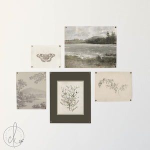 Vintage Framed Prints Set of 5 | Botanical Gallery Wall Art | Gold Frame Nature Decor | G45