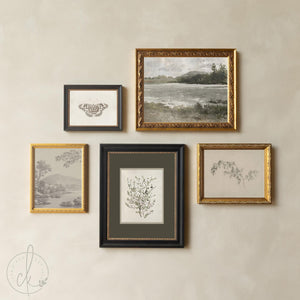 Vintage Framed Prints Set of 5 | Botanical Gallery Wall Art | Gold Frame Nature Decor | G45